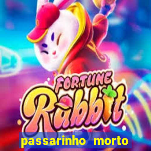 passarinho morto significado espiritual